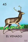 El Venado