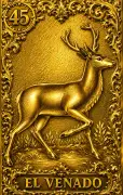 El Venado