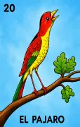 El Pájaro