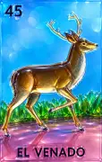 El Venado
