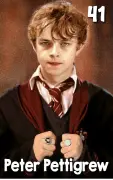 Peter Pettigrew