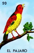El Pájaro