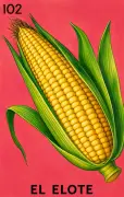 El Elote