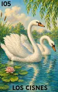 Los Cisnes