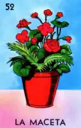 La Maceta