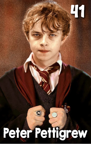 Peter Pettigrew