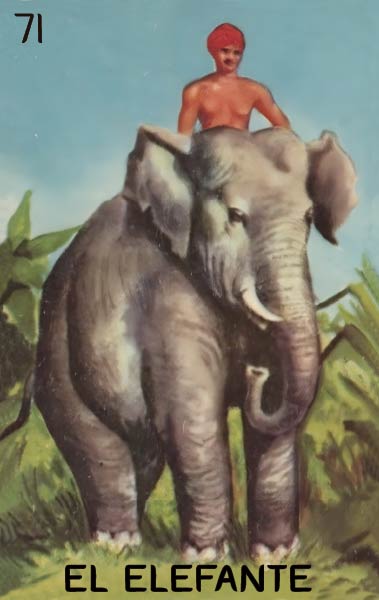 El Elefante