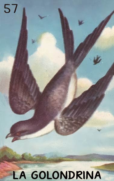 La Golondrina