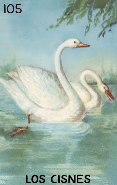 Los Cisnes