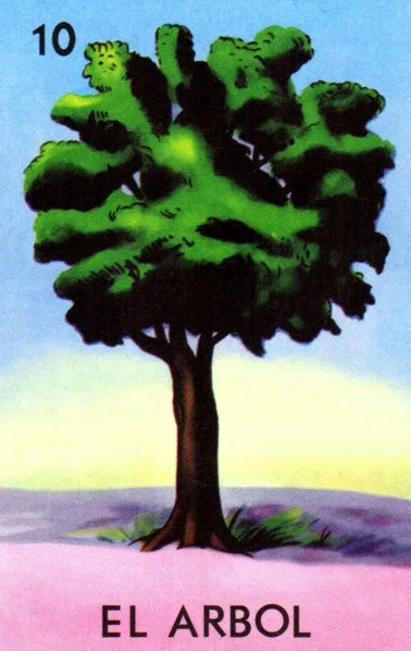 El Arbol